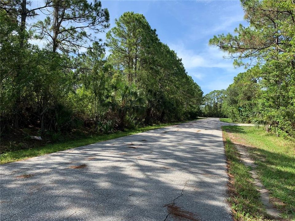 最近售出: $14,700 (0.23 acres)