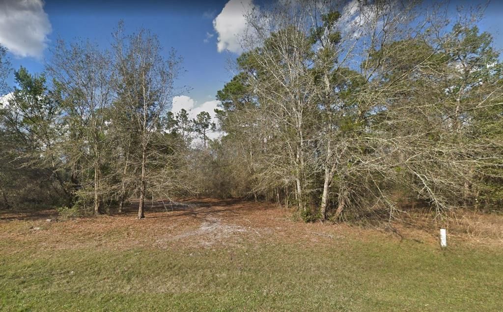 Recently Sold: $24,999 (0.25 acres)