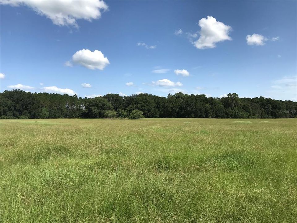 Recently Sold: $230,000 (10.01 acres)