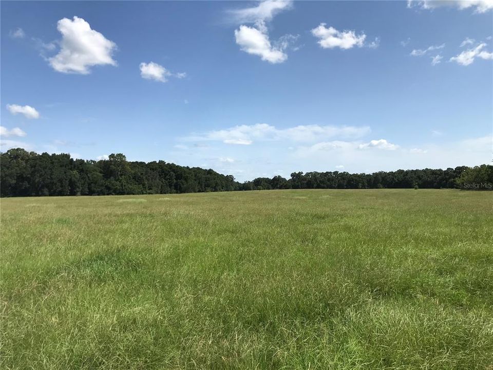 Recently Sold: $230,000 (10.01 acres)