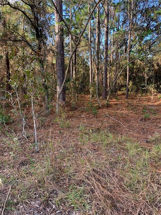 Recently Sold: $10,000 (1.00 acres)