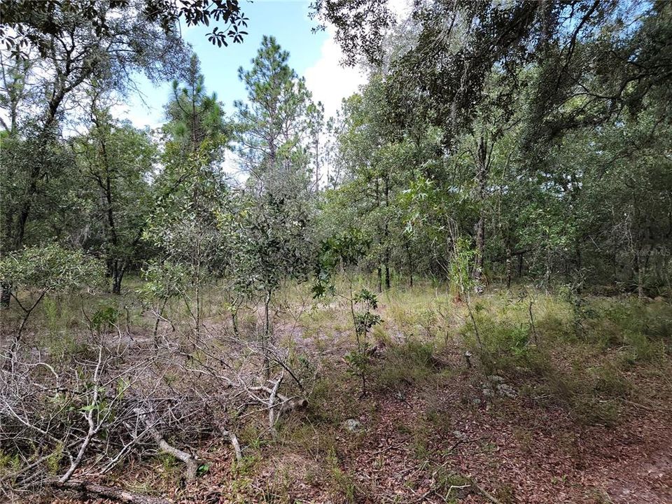 Recently Sold: $14,000 (2.50 acres)