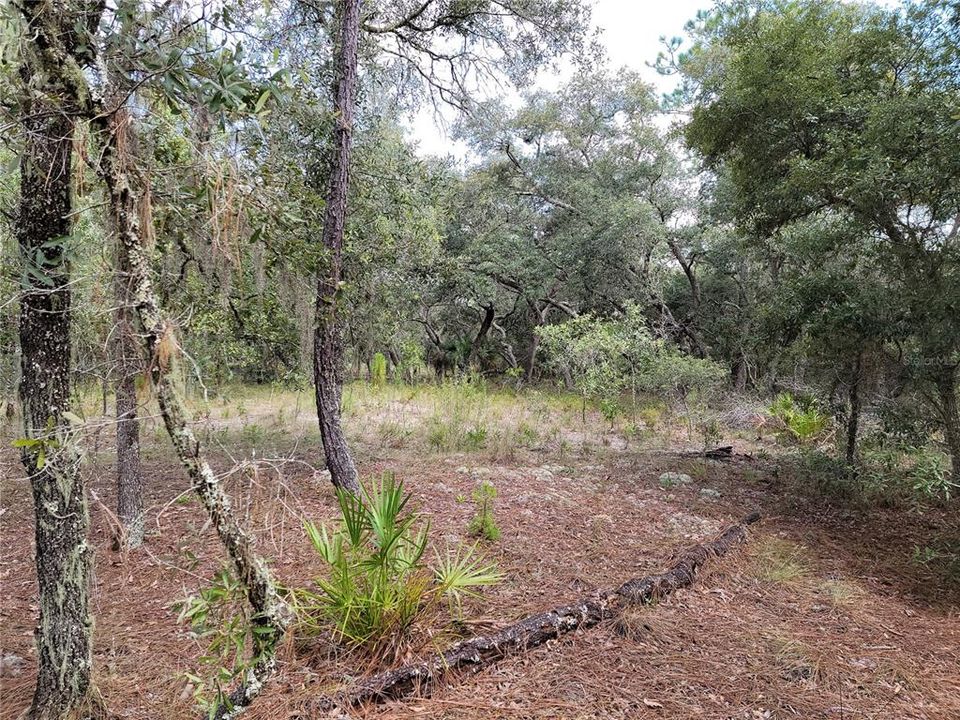 Recently Sold: $14,000 (2.50 acres)
