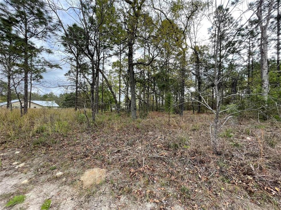 Vendido Recientemente: $45,000 (1.14 acres)