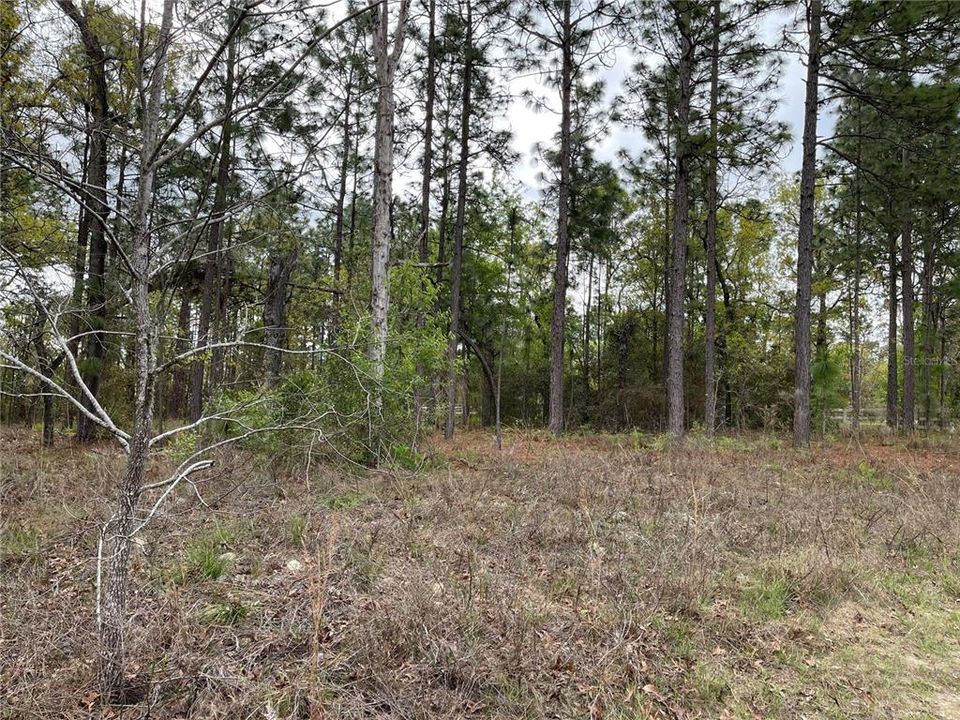 Recently Sold: $45,000 (1.14 acres)