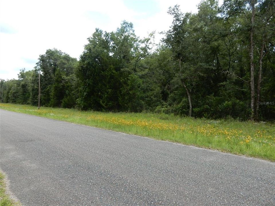 Recently Sold: $100,000 (4.76 acres)