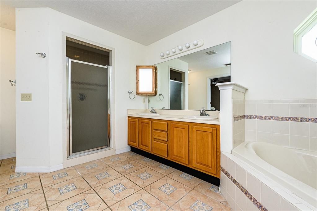 Double vanity with large jetted tub and extra large linen closet