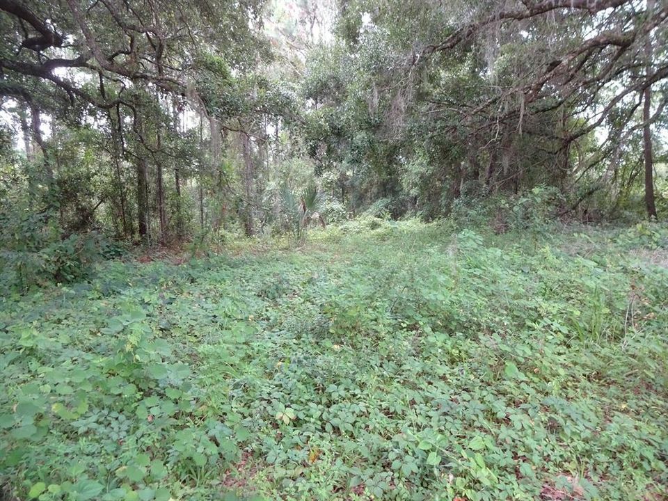Recently Sold: $85,000 (20.00 acres)
