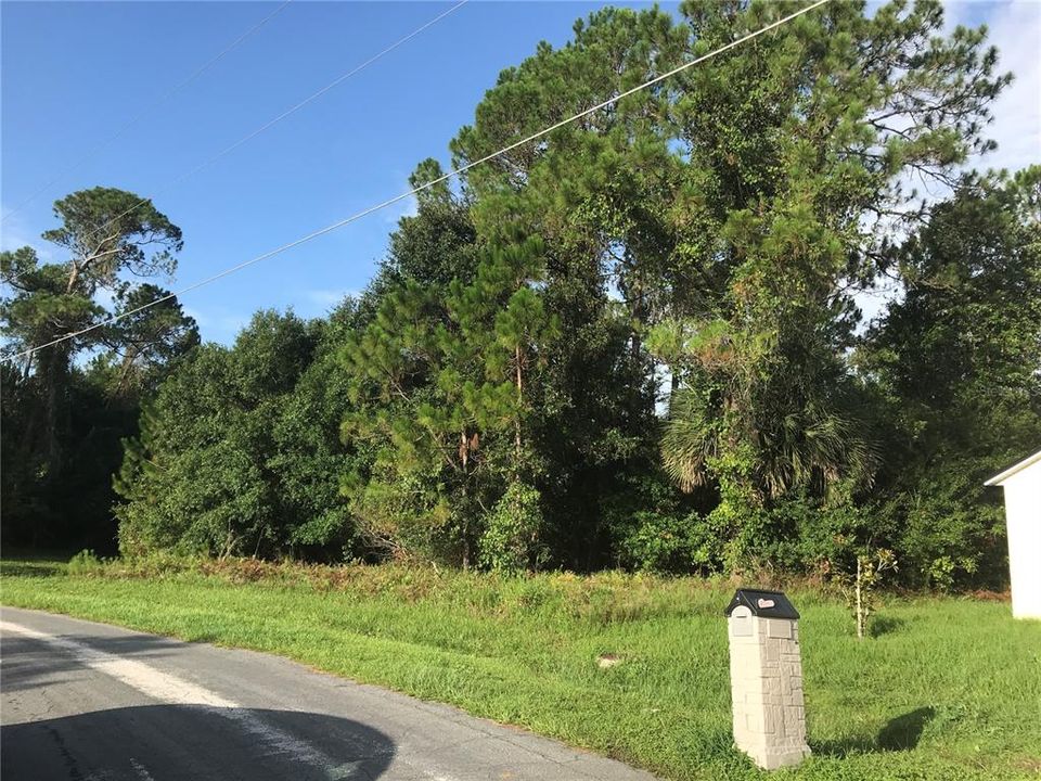 Recently Sold: $39,500 (0.31 acres)