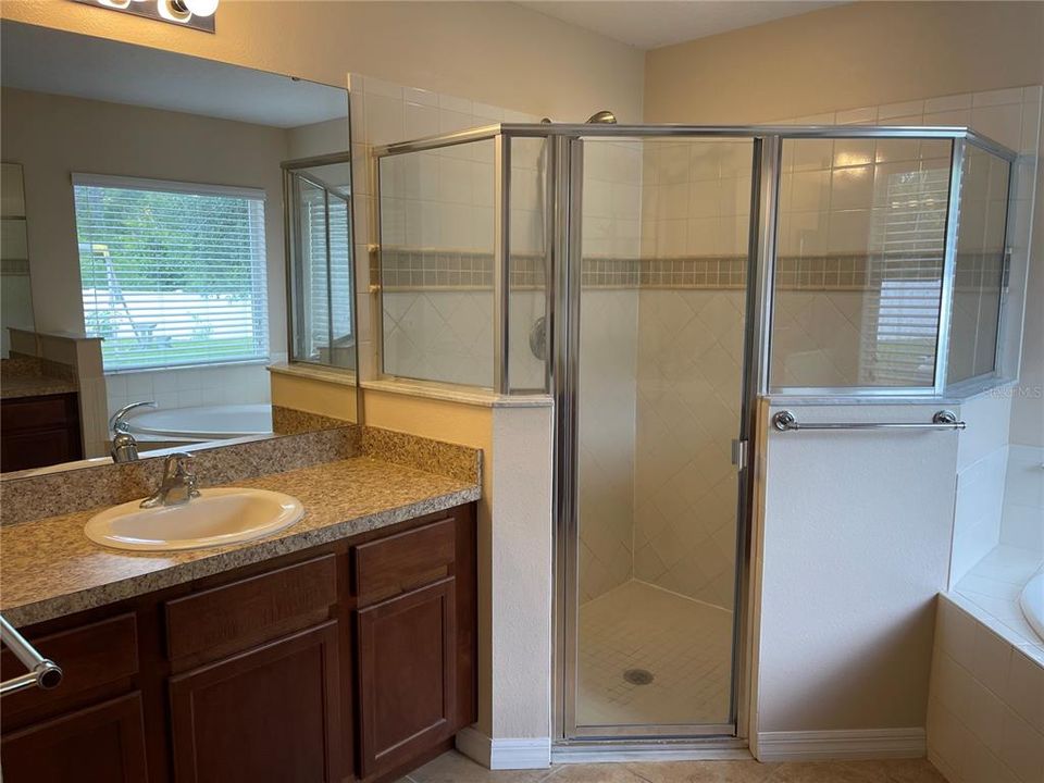 Master Bathroom - Shower and Sink 2