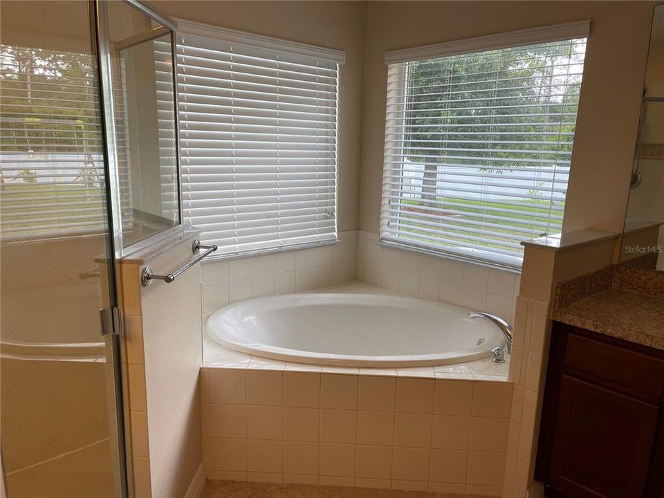 Master Bathroom - Garden Tub