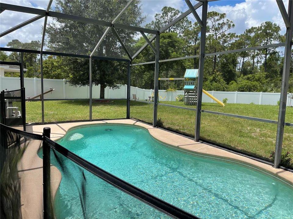 Pool with Screen Enclosure