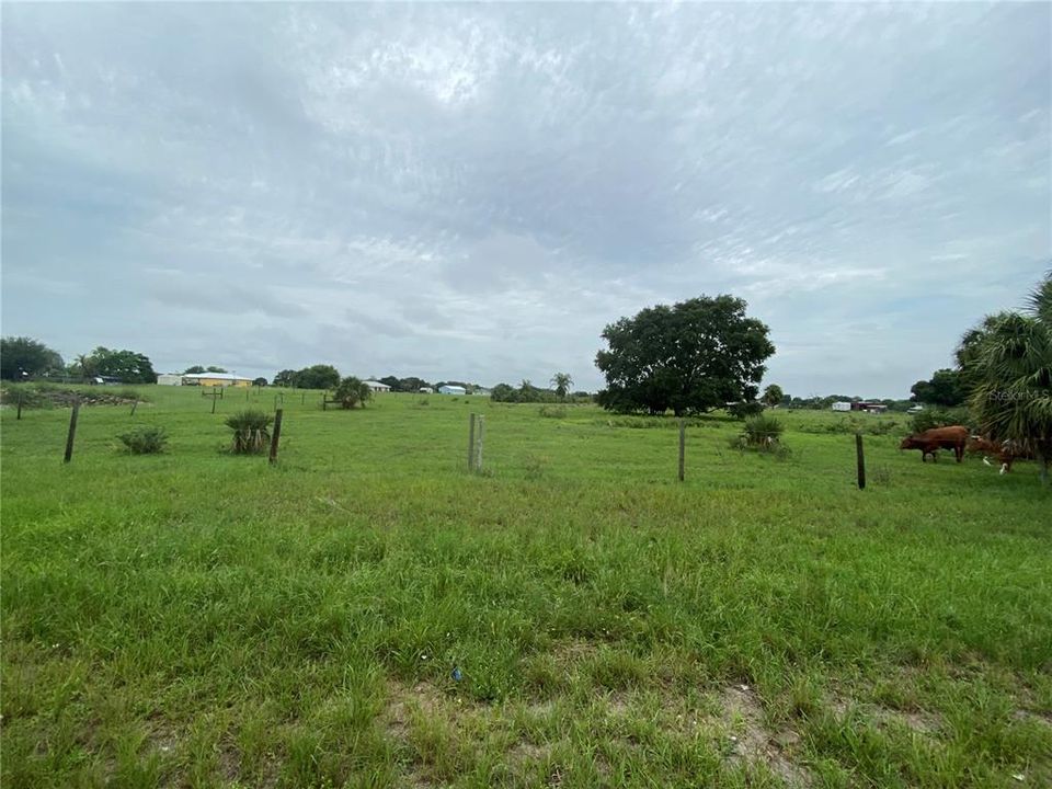 Recently Sold: $85,000 (5.26 acres)