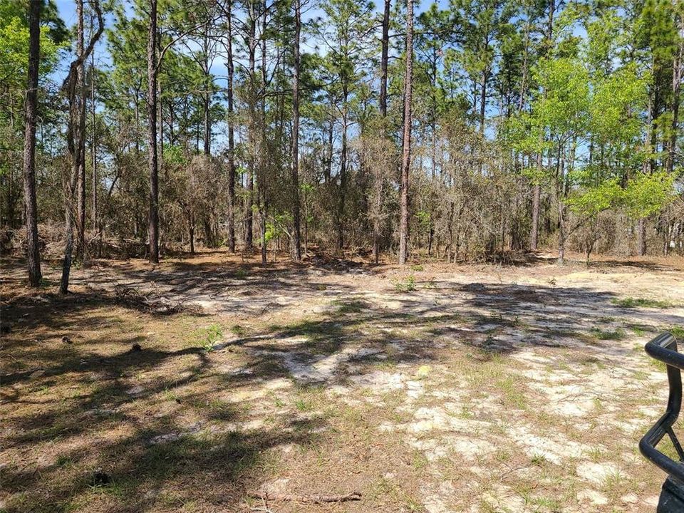 Recently Sold: $80,000 (3.64 acres)