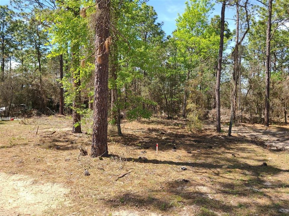 Recently Sold: $80,000 (3.64 acres)