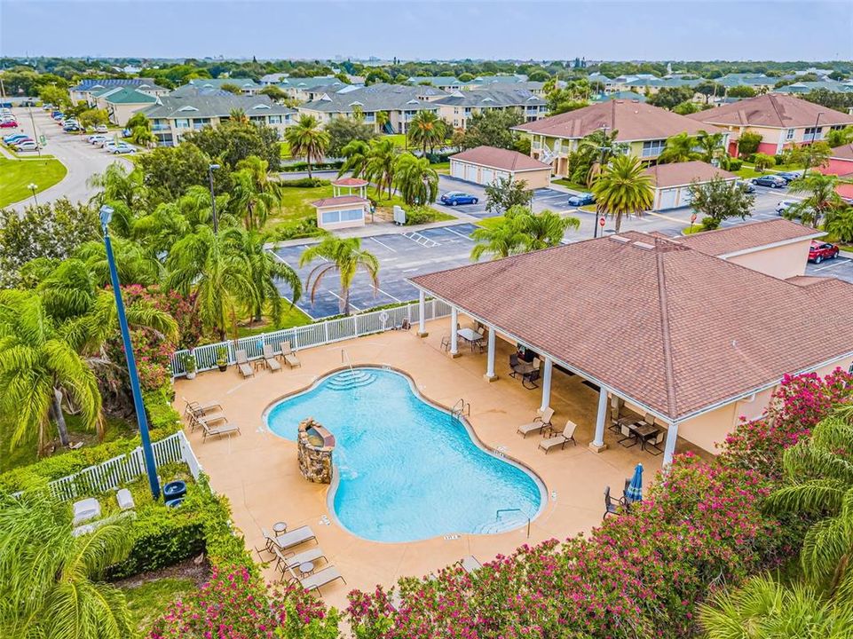 resort style pool