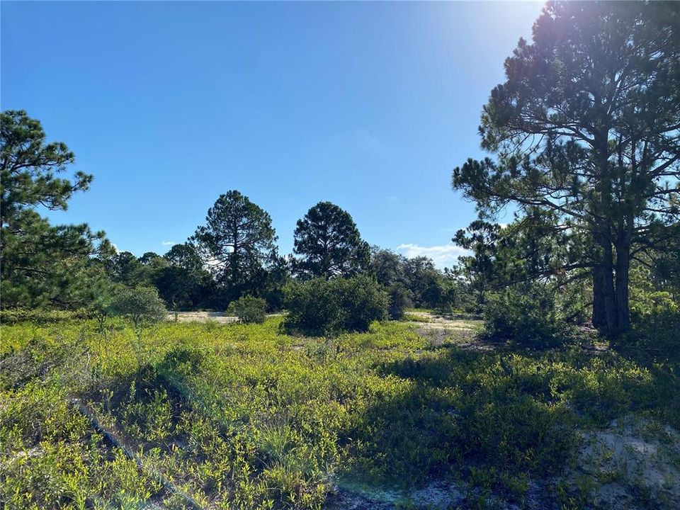 Recently Sold: $5,500 (0.23 acres)