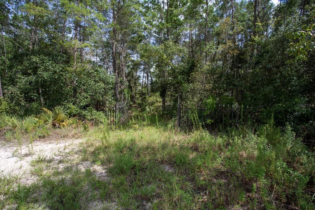 Recently Sold: $139,999 (10.96 acres)