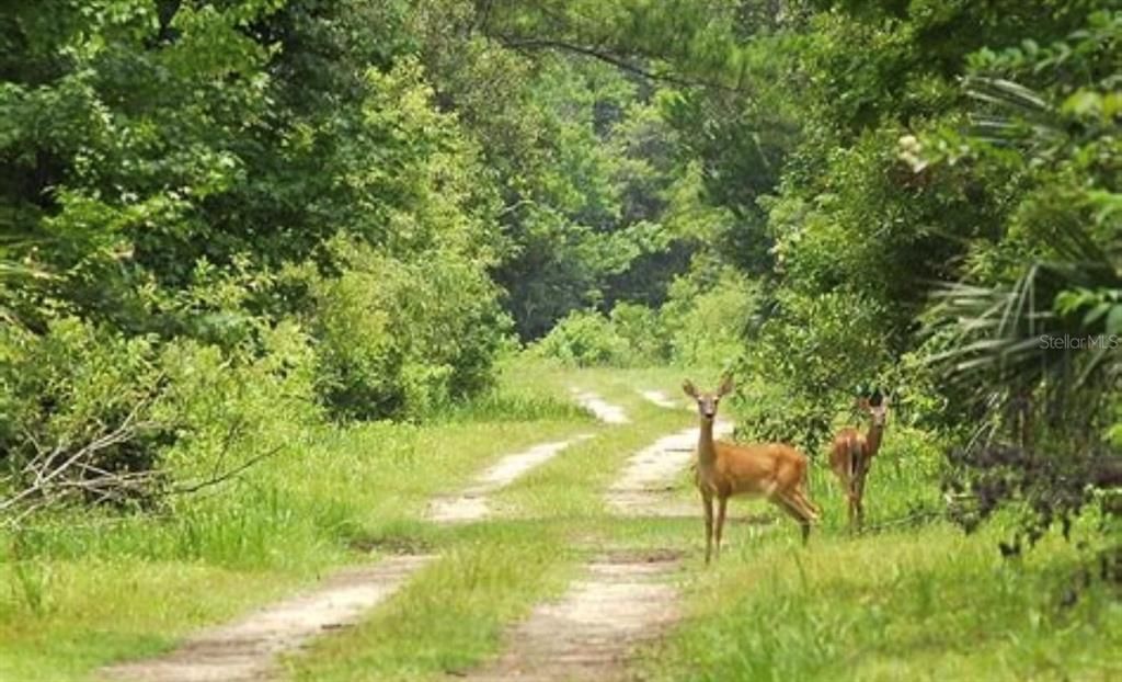 Недавно продано: $139,999 (10.96 acres)