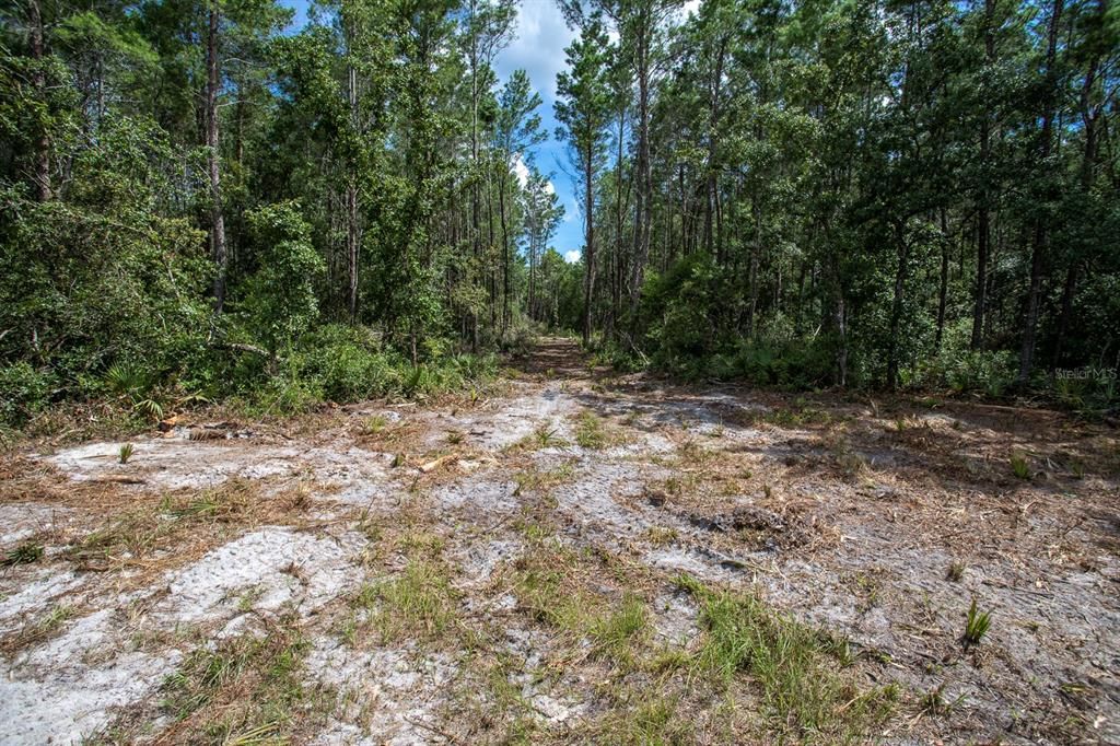 Недавно продано: $139,999 (10.96 acres)