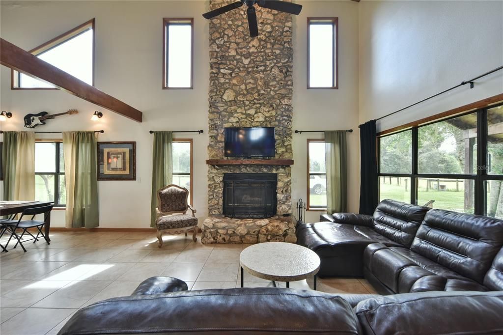 Living area with fireplace