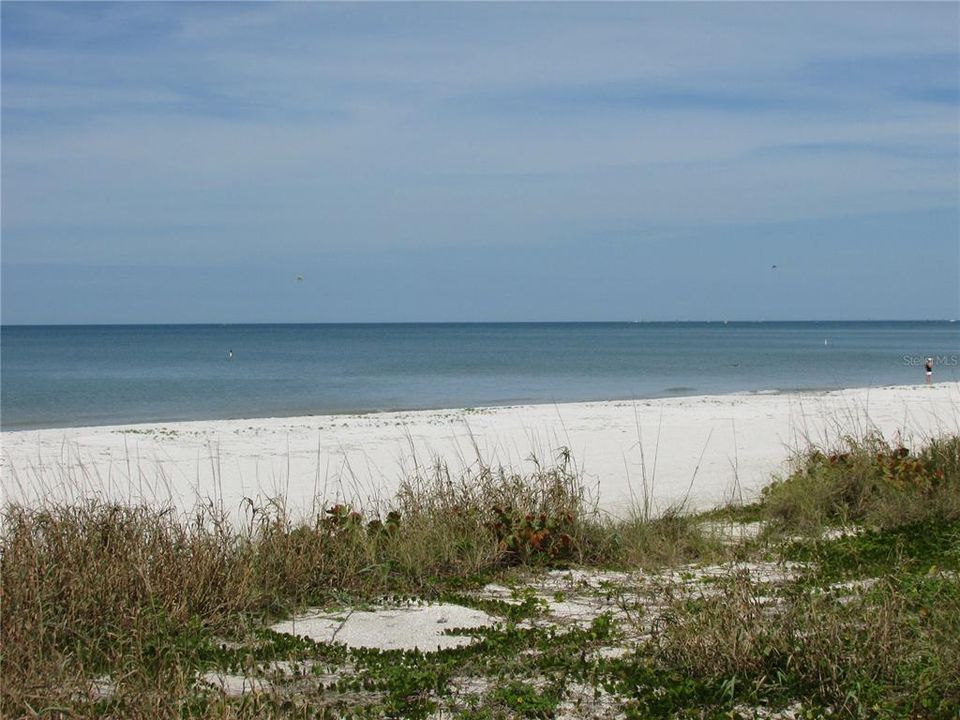 Protective dunes to welcome wildlife.