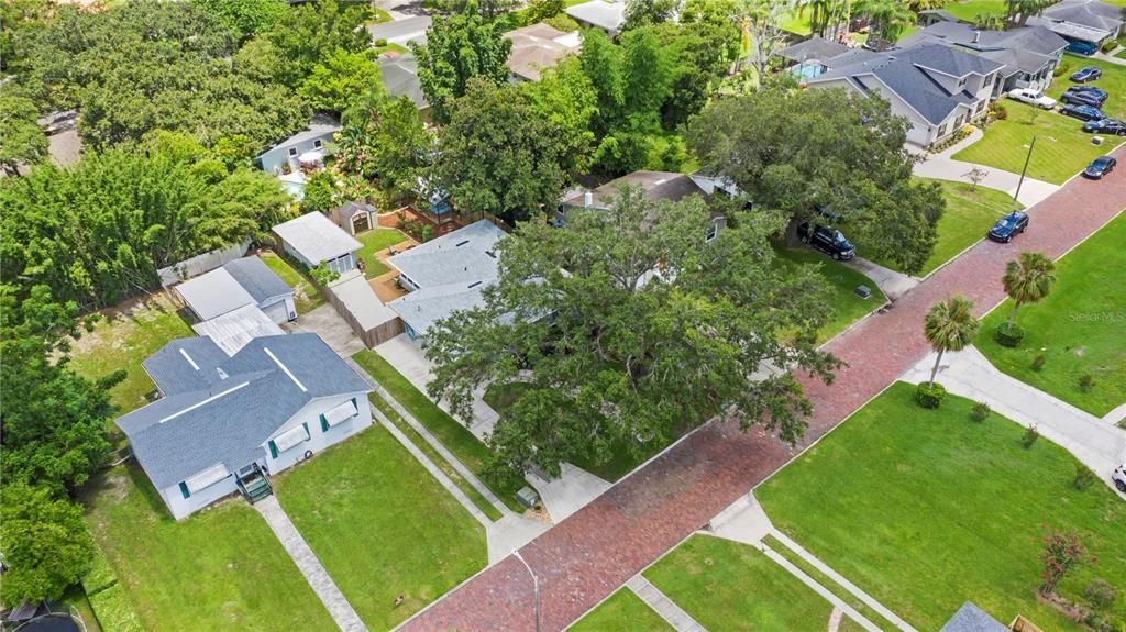 The Large Tree in the Front almost covers the entire front lawn.