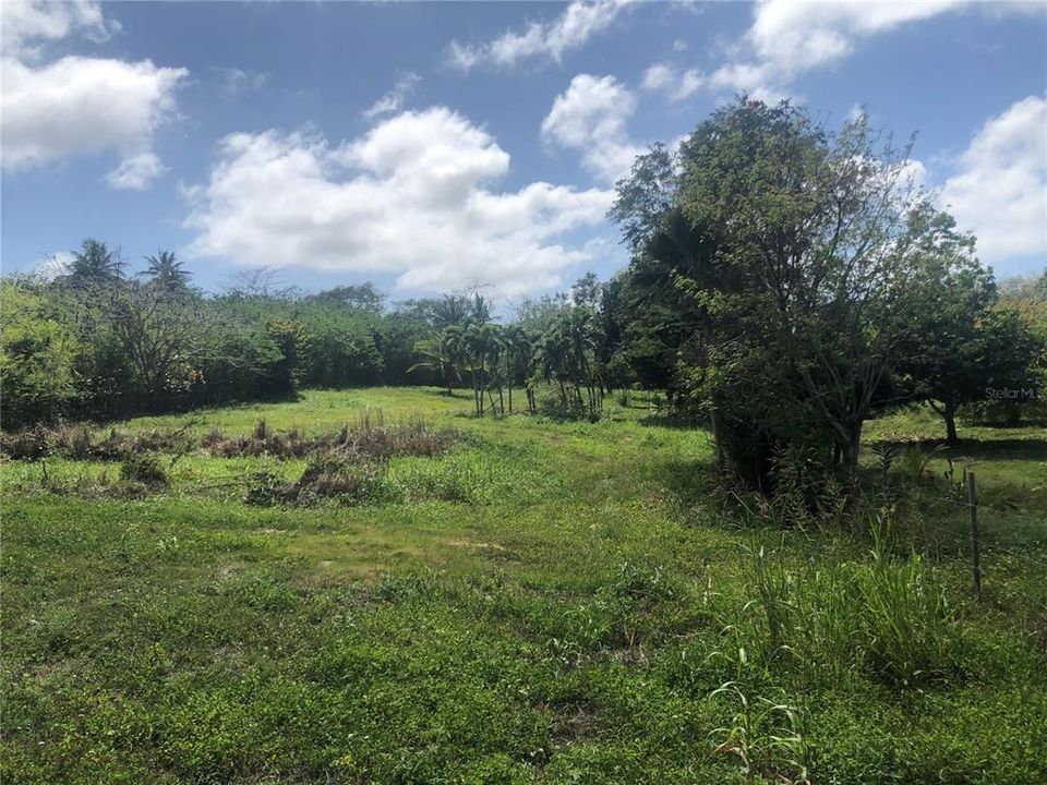 Recently Sold: $95,000 (0.93 acres)