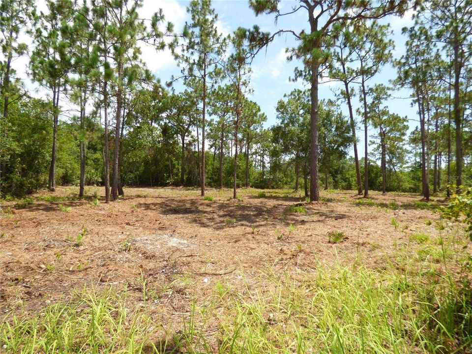 Recently Sold: $77,900 (0.75 acres)