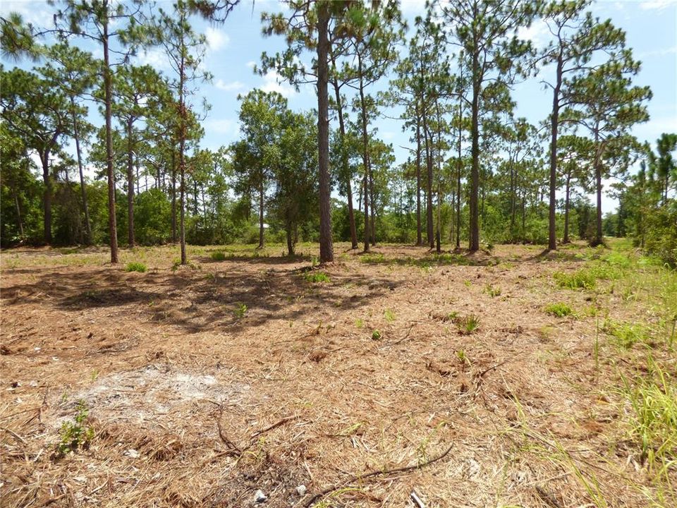 Recently Sold: $77,900 (0.75 acres)