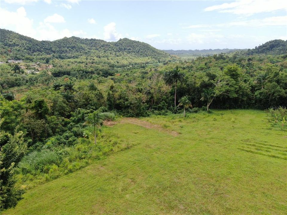 Vista desde la casa