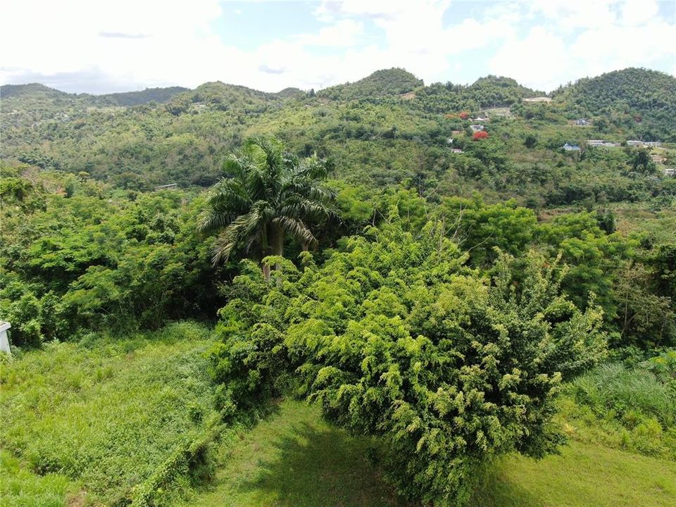 Vista desde la casa