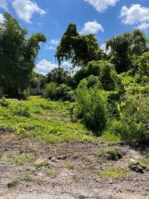 View looking across the street at the empty lot.