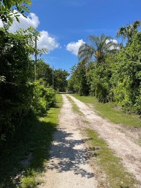 Looking South down Carmen Street