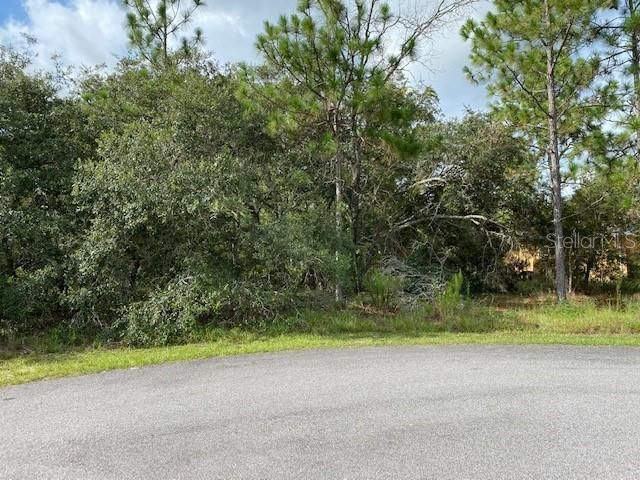 Recently Sold: $24,900 (0.45 acres)