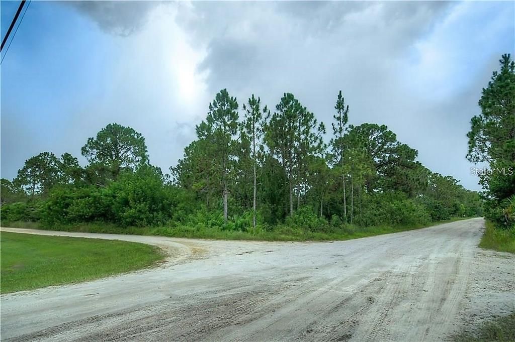 CHARLOTTE RANCHETTE ACREAGE