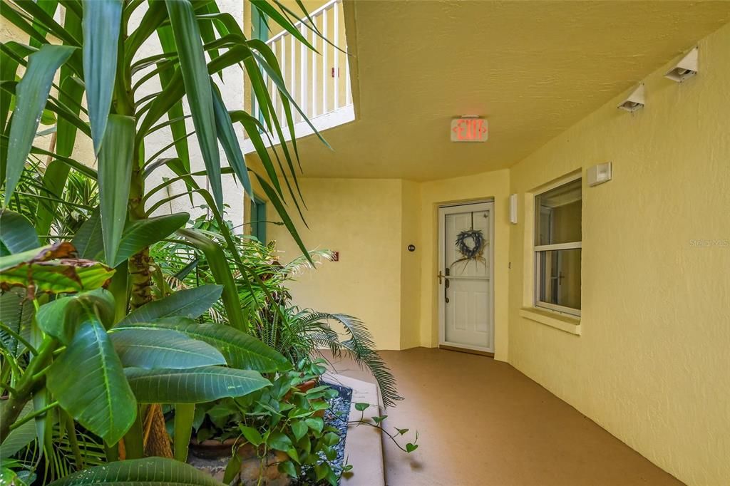 Tropical garden welcomes you home