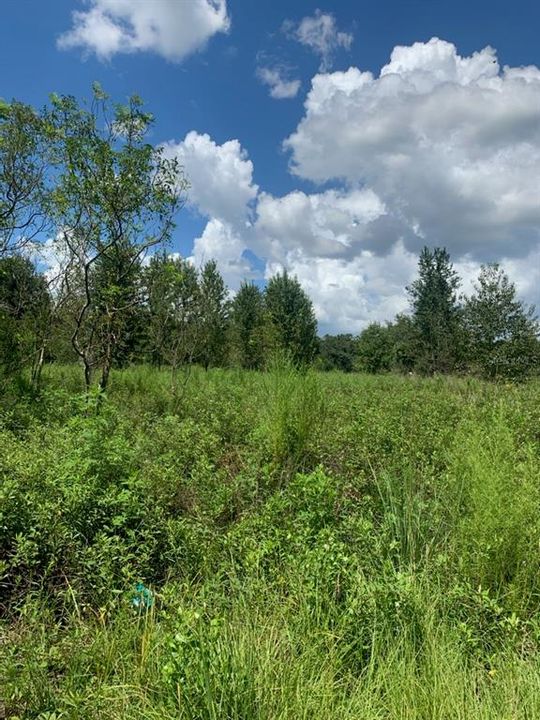 Recently Sold: $8,000 (0.23 acres)