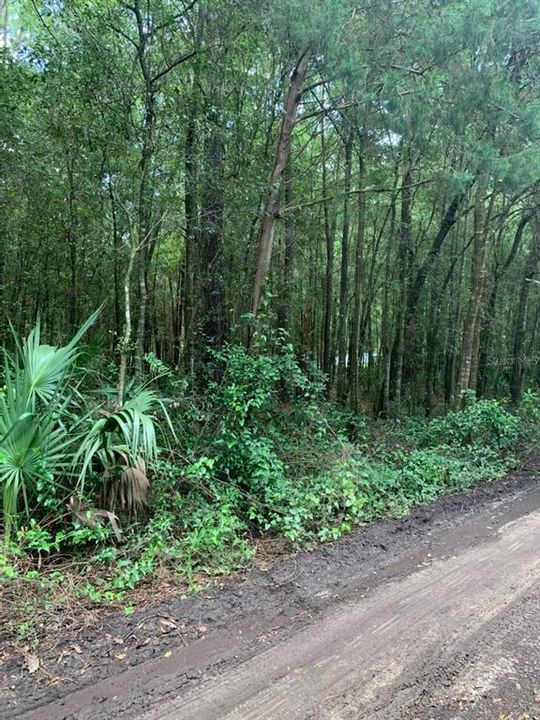 Vendido Recientemente: $7,750 (0.18 acres)