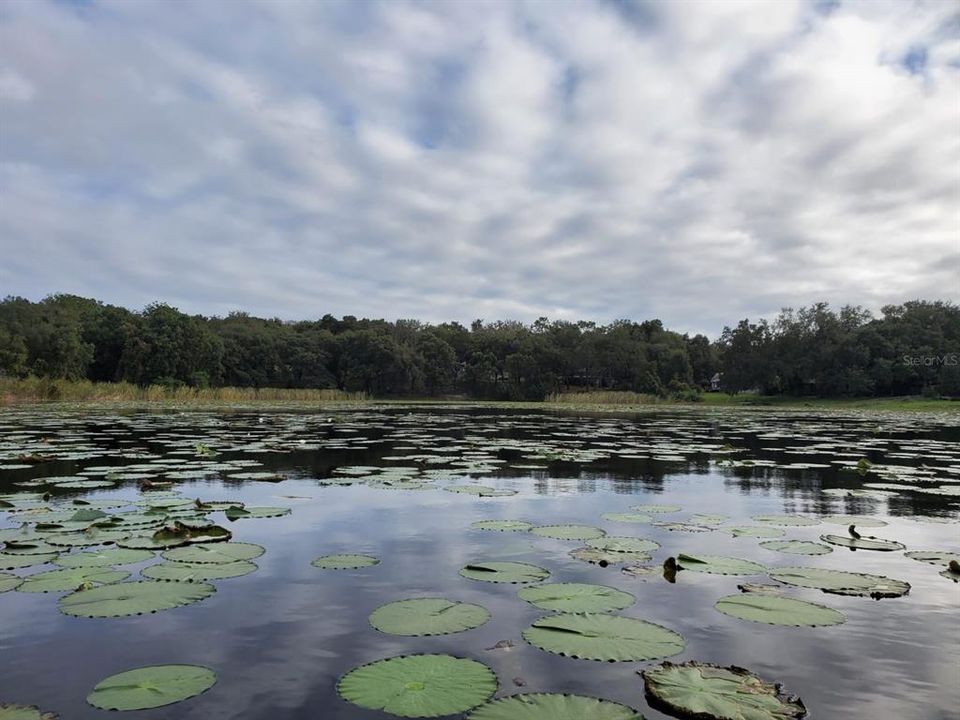 最近售出: $60,000 (0.67 acres)