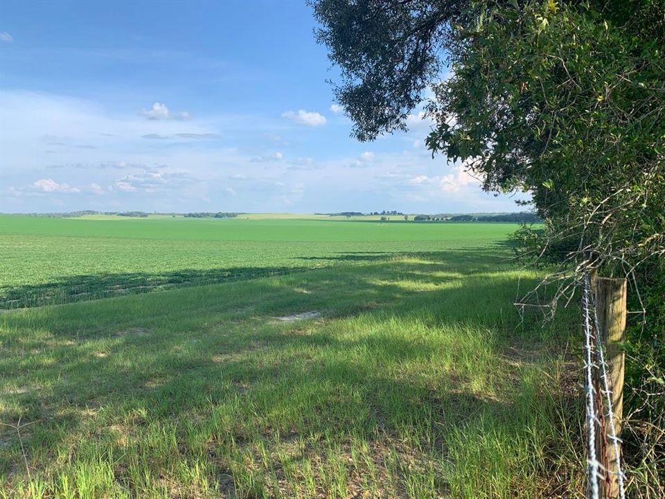 Recently Sold: $49,000 (5.10 acres)