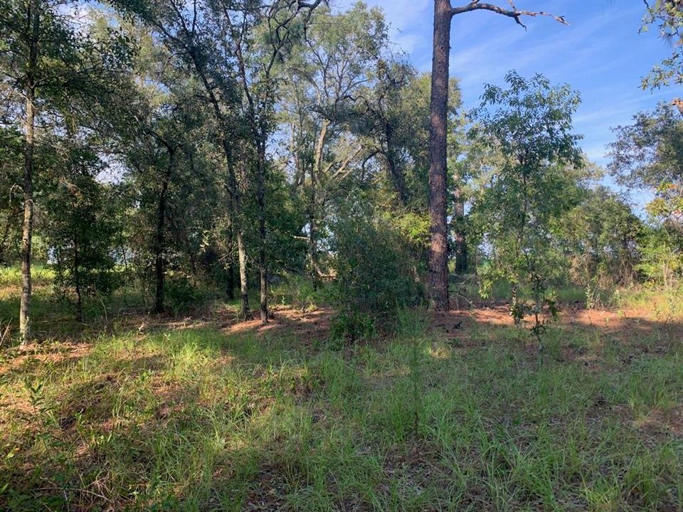 Recently Sold: $49,000 (5.10 acres)