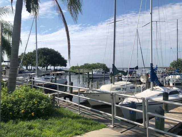 Safety Harbor Marina