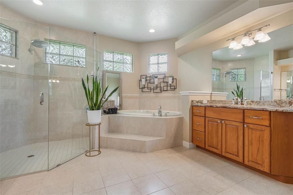 Large walk in shower and soaker tub