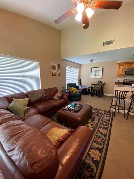 Living Area with Cathedral Ceiling and Ceiling Fan