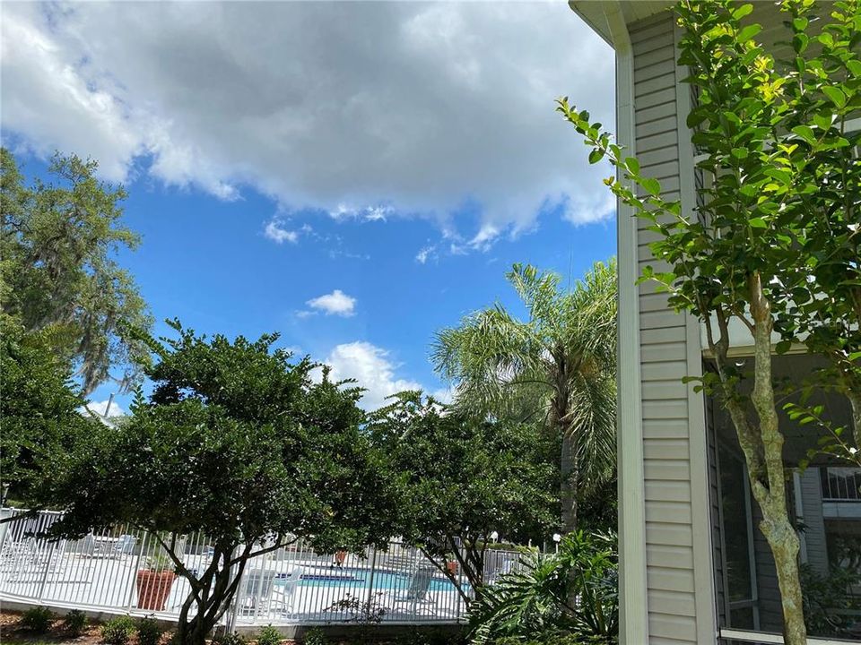 Pool View, Side of Balcony