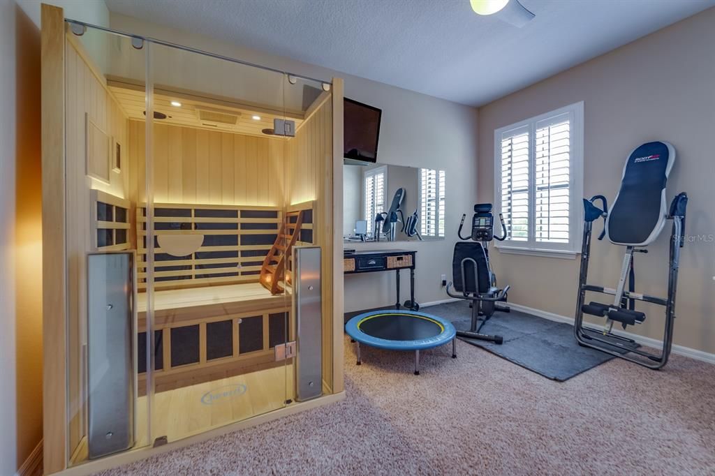 Workout Room w/ Infrared Sauna/Bedroom
