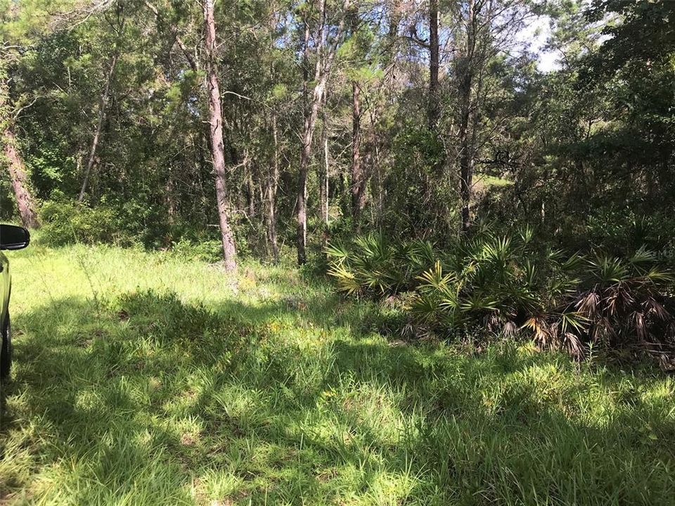 Recently Sold: $18,900 (0.34 acres)
