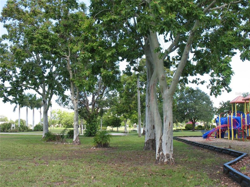 mature landscaping to shade the playground area