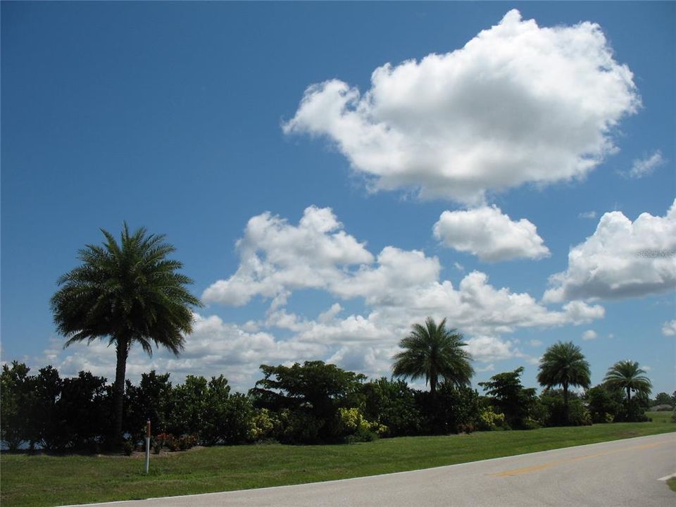 Common area landscaping